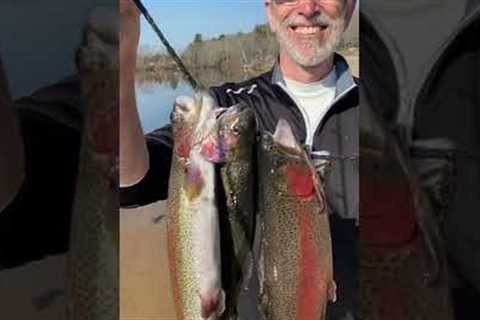 not getting trout bites? try this (STOCKED trout fishing)