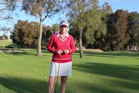 #83 Web TV: What's The Perfect Swing?