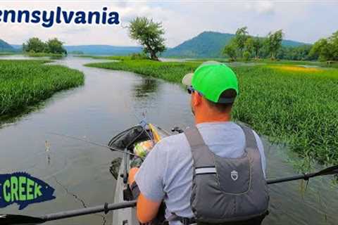 Fishing the BEST Smallmouth Bass River!!