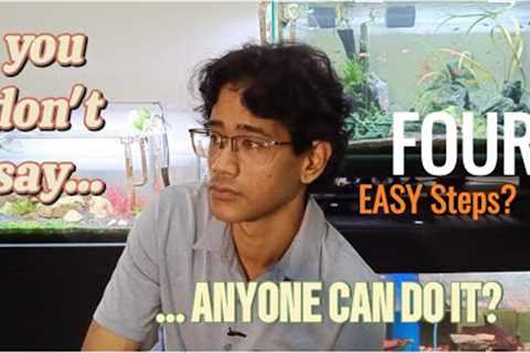 How to set up Aquarium? These 4 EASY steps I use for Aquascape+Fish Tanks, all of my 30 tanks!