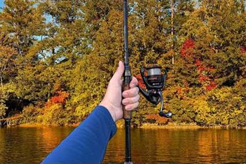 Lake Keowee Fall Bass Fishing For AGGRESSIVE Bass! (Lake Breakdown)