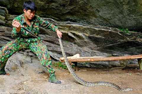 Set traps, build new shelters and confront ferocious reptiles, survival alone