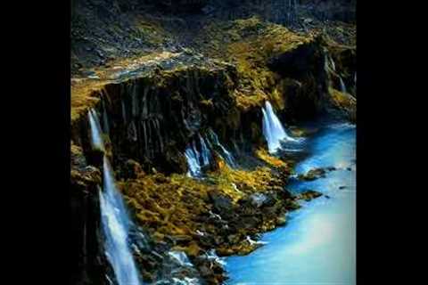 The wonders of Nature | Stream | #shorts #ytshorts #stream #nature
