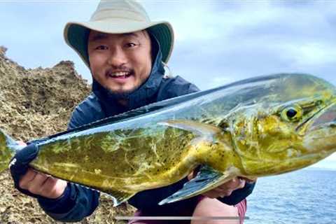 Incredible Catch From Shore | Japan Catch and Cook