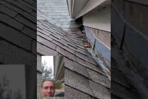 roof leak / roof repair