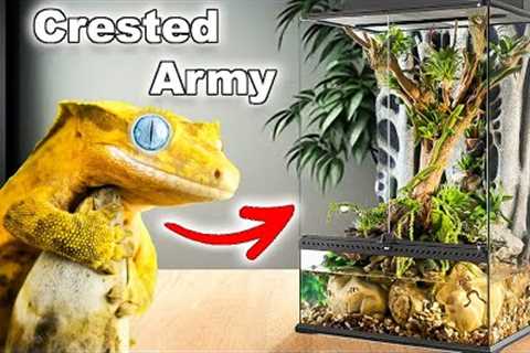 My Geckos Won’t STOP Making babies!!