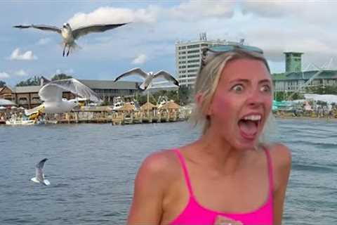 CRUISE SHIP DISASTER!  🦅Funniest Travel &amp; Vacation Fails