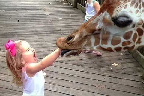 Adorable Babies Meeting Animals in Zoo and Village - Funniest Home Videos