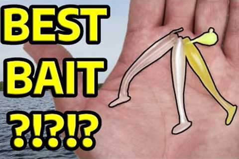 My Favorite Baits for Lake Trout | Lake Winnipesaukee