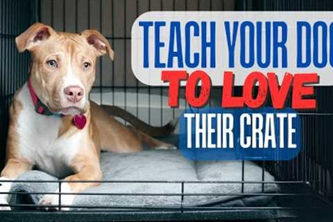 Teach Your Dog to Love Thier Crate