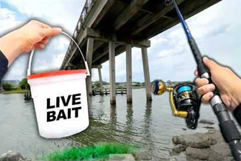 Eating Whatever I Catch.. Fishing UNDER the Bridge (Catch and Cook)