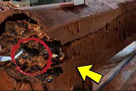 deadly, unexpected surprises when sawing junk wood at sawmill
