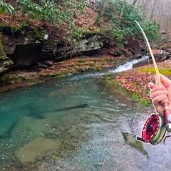 Fly Fishing for the Most Beautiful Trout!  (Winter Fishing)