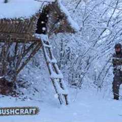 WINTER SURVIVAL in the Wilderness, Building a Bushcraft Shelter!