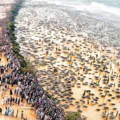 They Spilled Billions of Tons of Water into the Desert, a Year Later the Result Was Unexpected