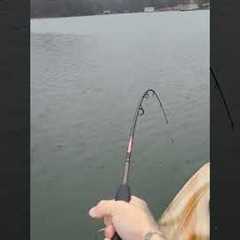 Early December Striper Fishing Lake Lanier