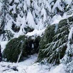 Building a Shelter to Survive HEAVY SNOW:  3 Days Bushcraft Adventure in a Frozen Forest