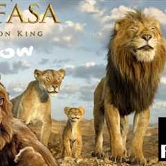 Mufasa: The Lion King | Flow - Movie Review