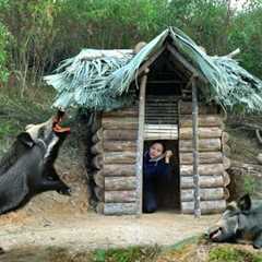 FULL VIDEO: 100 Days, Build a Warm Secret Survival Shelter and Bushcraft Wild Boar Hunting