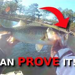 The Absolute BEST Spot For Winter Bass Fishing!!! (EVERY Lake Has This!!!)