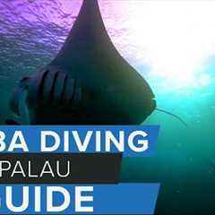 Scuba Diving Palau Travel Guide w/ @AggressorAdventures