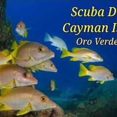 Scuba Diving The Grand Cayman Oro Verde Wreck