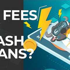 Equalizer Finance - 0% Fees on Flash Loans?