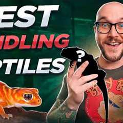 The Most Handleable Pet Reptiles! No Bites, Just Love!