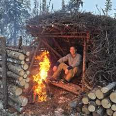 3 Days in Arctic Survival Shelter - Solo Bushcraft Camping & Blacksmithing.