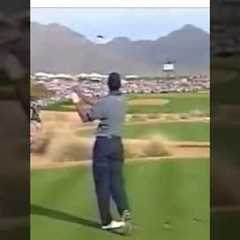 Tiger Woods Hole in one at the WM #shorts #puzzlegolf #tigerwoods #golf #golfswing #holeinone