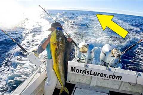 Island Hopping for a Mahimahi Thanksgiving Feast! 🦃🐟