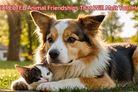 UNEXPECTED Animal Friendships That Will Melt Your Heart!