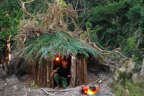 Build a warm and cozy secret survival shelter under a fallen tree. Bushcraft Camping