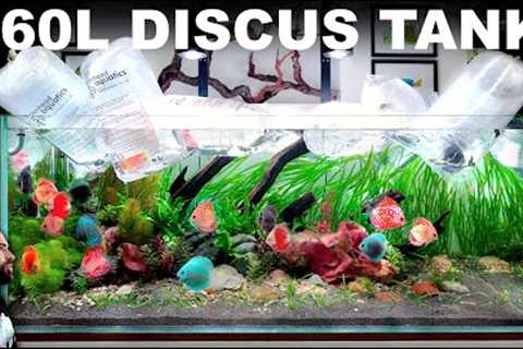360L Fully Planted Discus Aquarium (EPIC Aquascape Tutorial)
