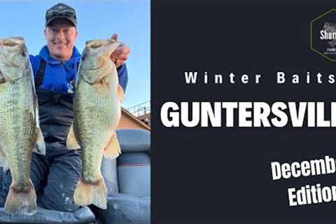 Top Winter Baits for Bass Fishing on Lake Guntersville - December Edition