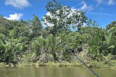Landbase fishing. Back to basics