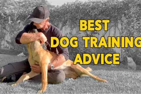 Best Dog Training Advice - Don’t Compare Your Dog to Dogs on Social Media