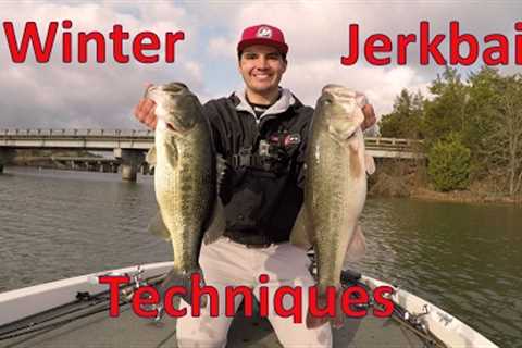 How to Fish Suspending Jerkbaits for Winter Bass - Lake Dardanelle
