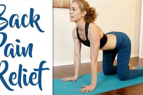 Fast Lower Back Pain &amp; Sciatica Pain Relief – Beginners Yoga Stretches and Poses