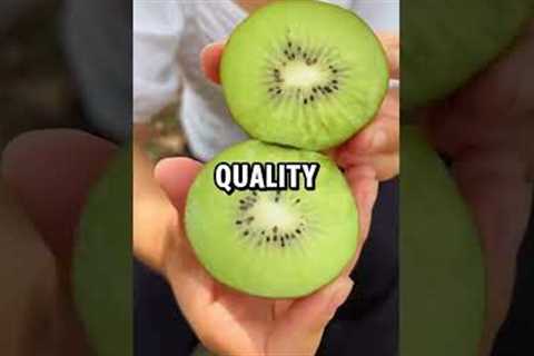 Health hacks #shorts #health #hacks