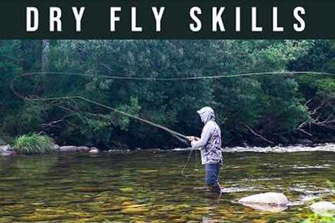 The BIG SECRET to better DRY FLY fishing