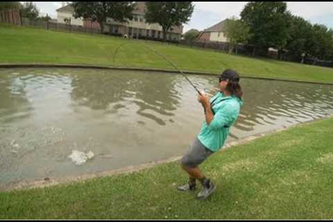 How to Catch a Fish (the easy way)