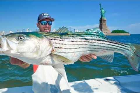 Chasing Urban Giants Across New York! Catch Clean &amp; Cook