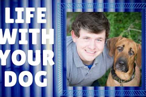 Welcome To Doggie Dojo - Dog Training YouTube Channel