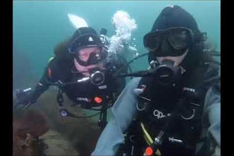 Scuba diving at Cove 2, West Seattle, Washington