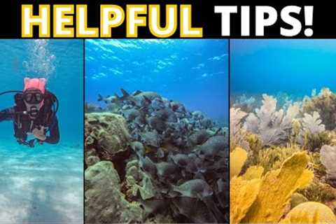 Bonaire Scuba Diving 🤿  A tour of 10 dive sites!