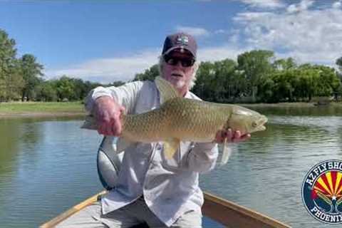Rainbow Lake With Arizona Fly Fishing Legend John Rohmer