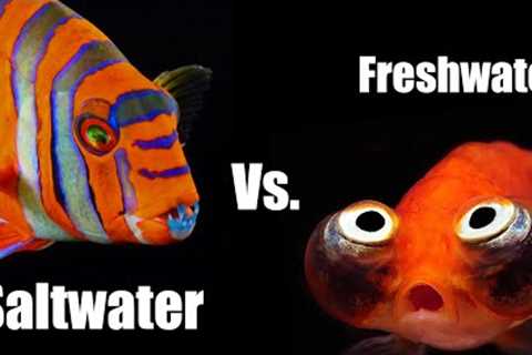 10 Reasons Why Saltwater is Better than Freshwater Aquariums