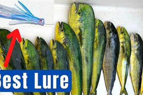 How to Catch Mahi Mahi, Best Lures, Baits, and Trolling Techniques