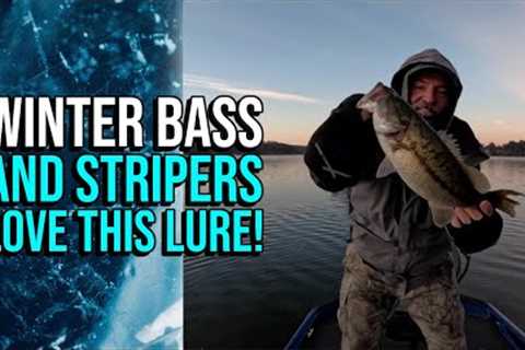 Winter Bass and Stripers Love This Lure!